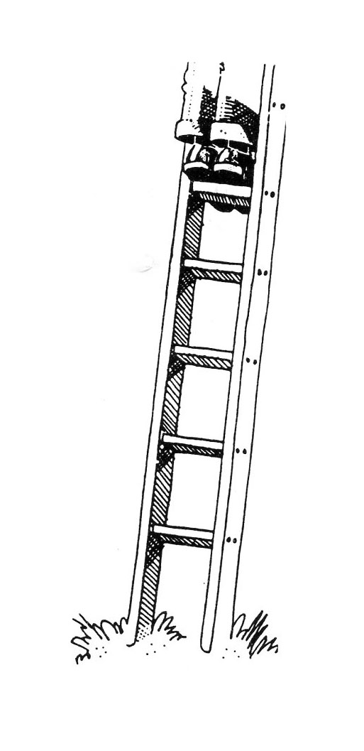 How to scale the company ladder