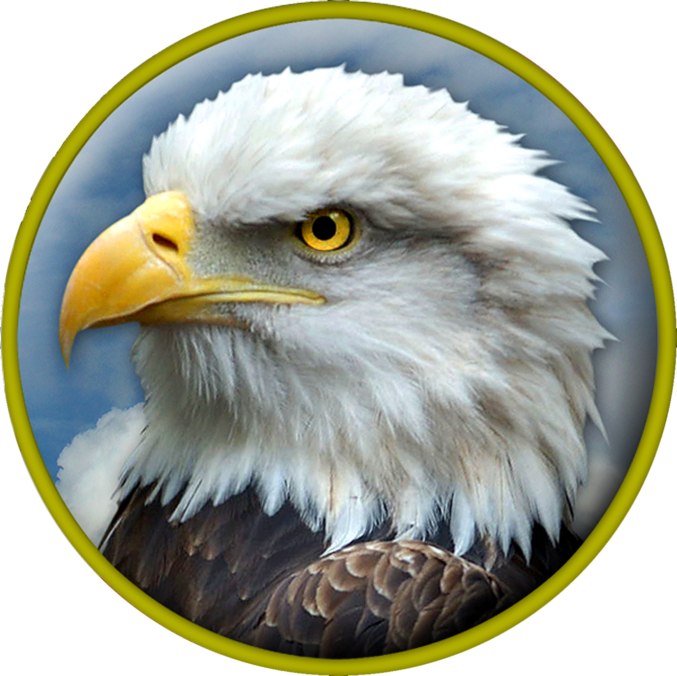 Where eagles fly in January