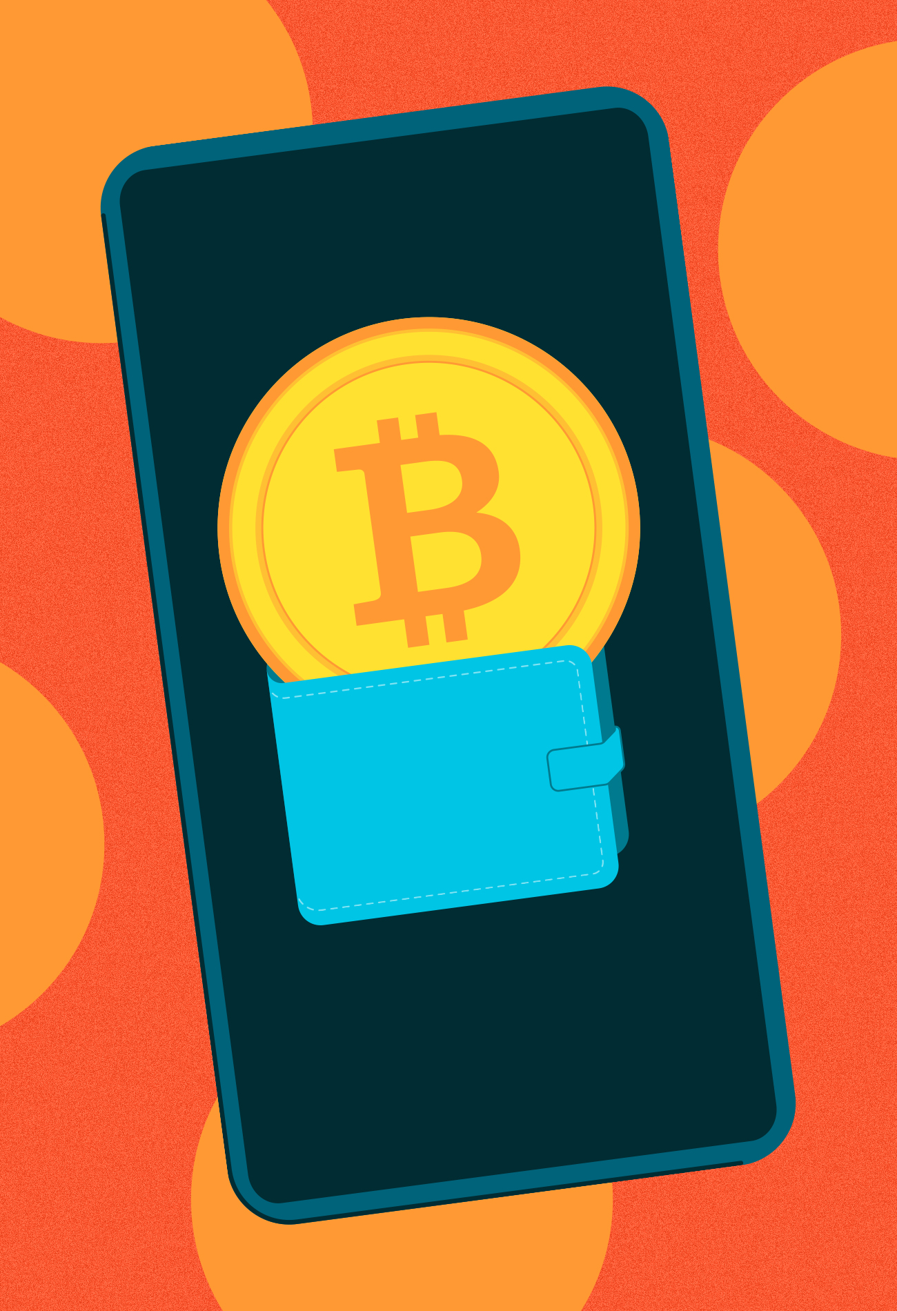 What in the world is a crypto wallet?