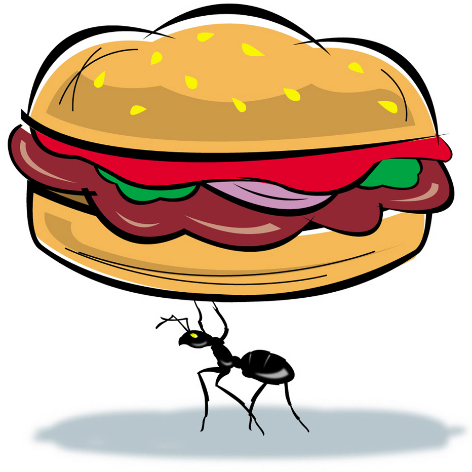 Would aliens prefer to study ants?