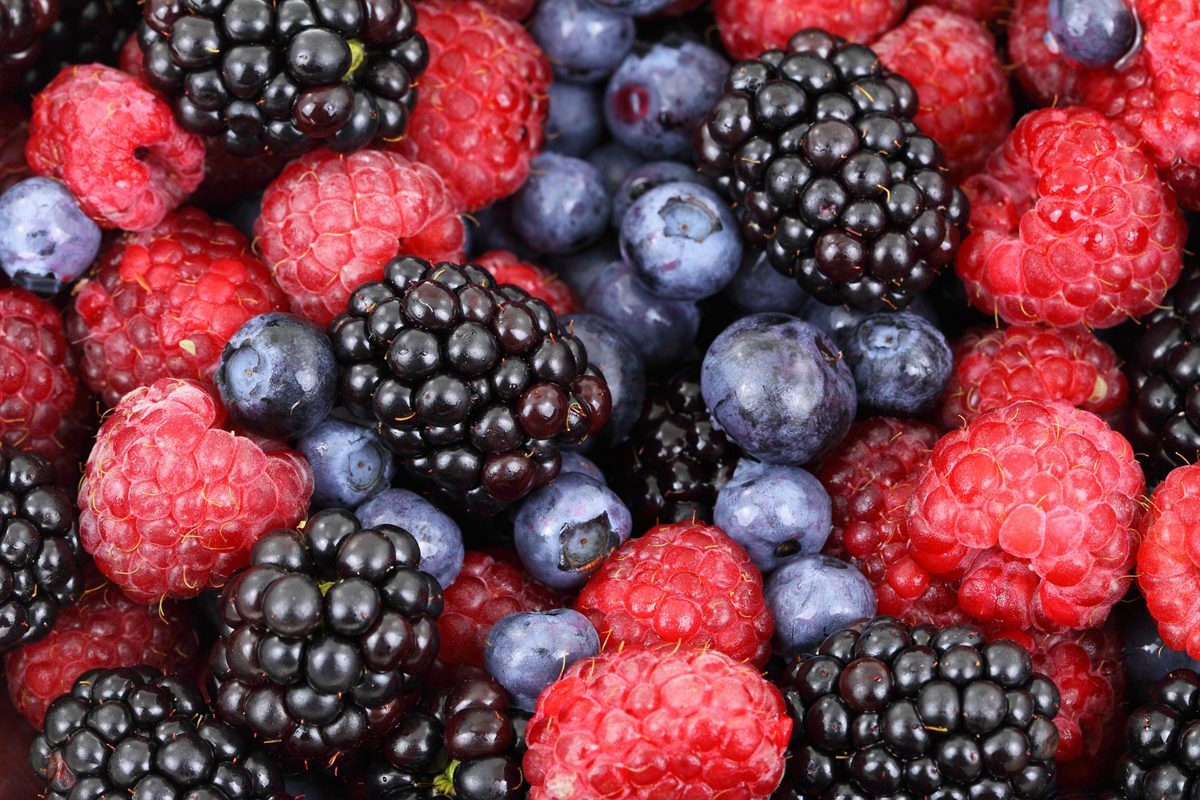 Flavonols may slow cognitive decline