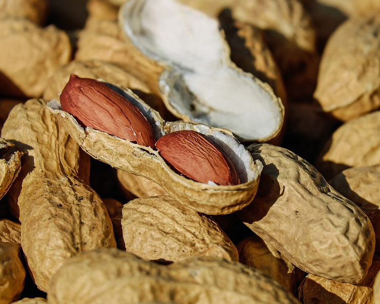 Peanut allergies finally decline after years-long surge