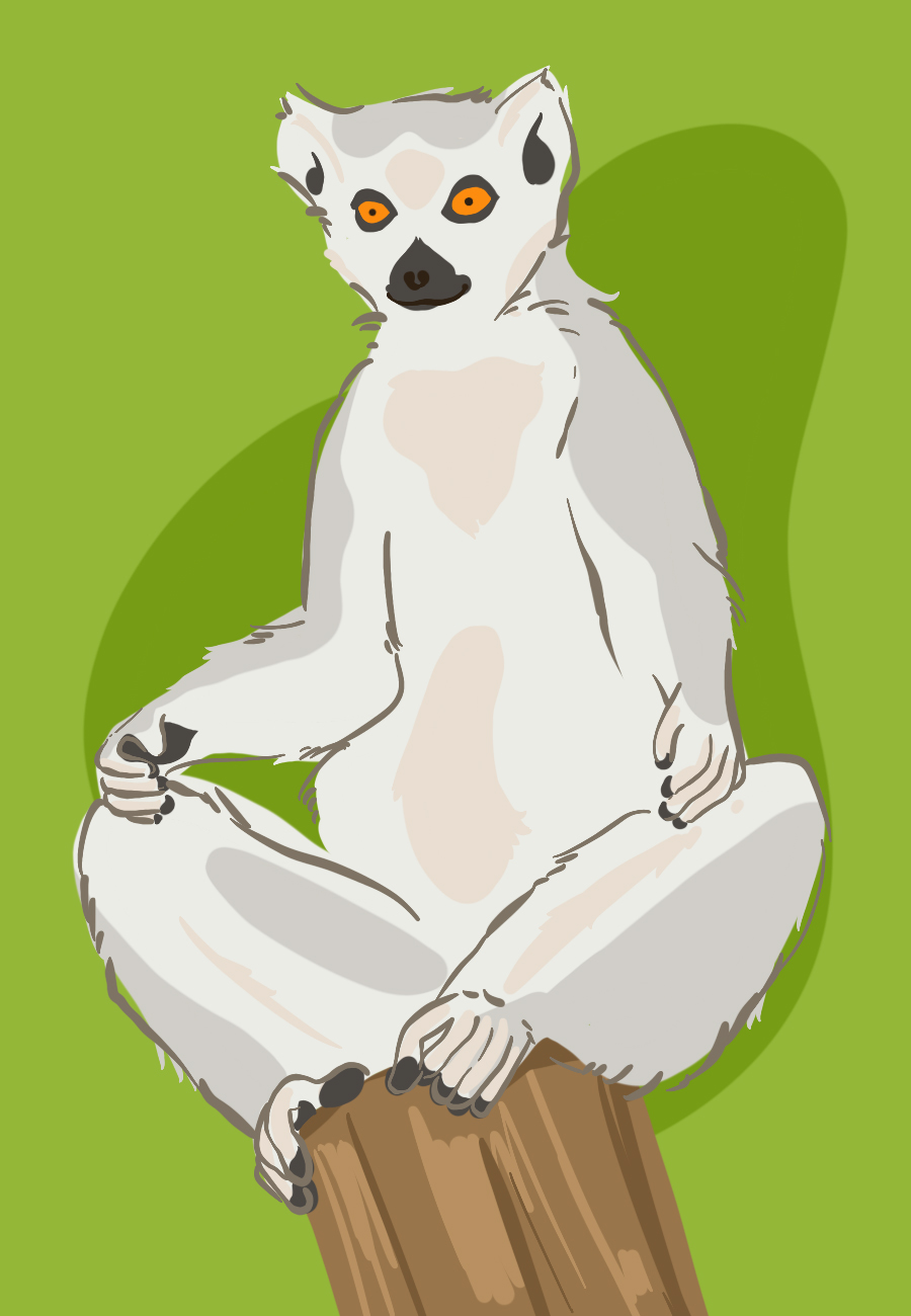 Yoga veers into the cuddly
