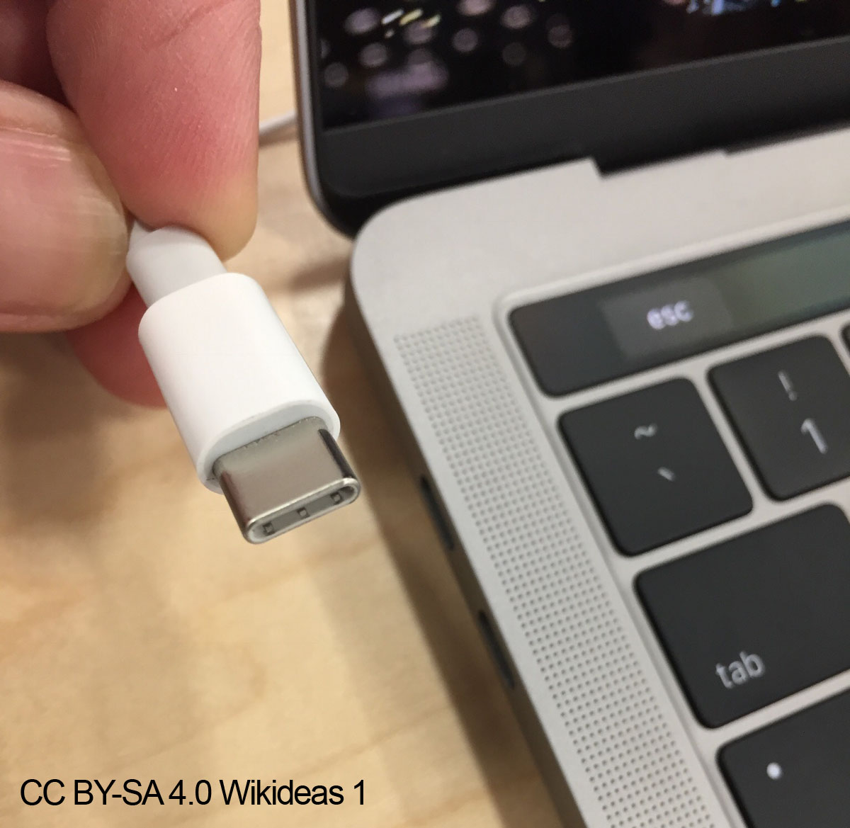 USB-C may become the one cord to rule them all