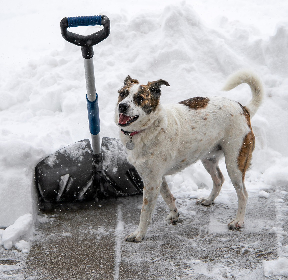 Shovel smart!
