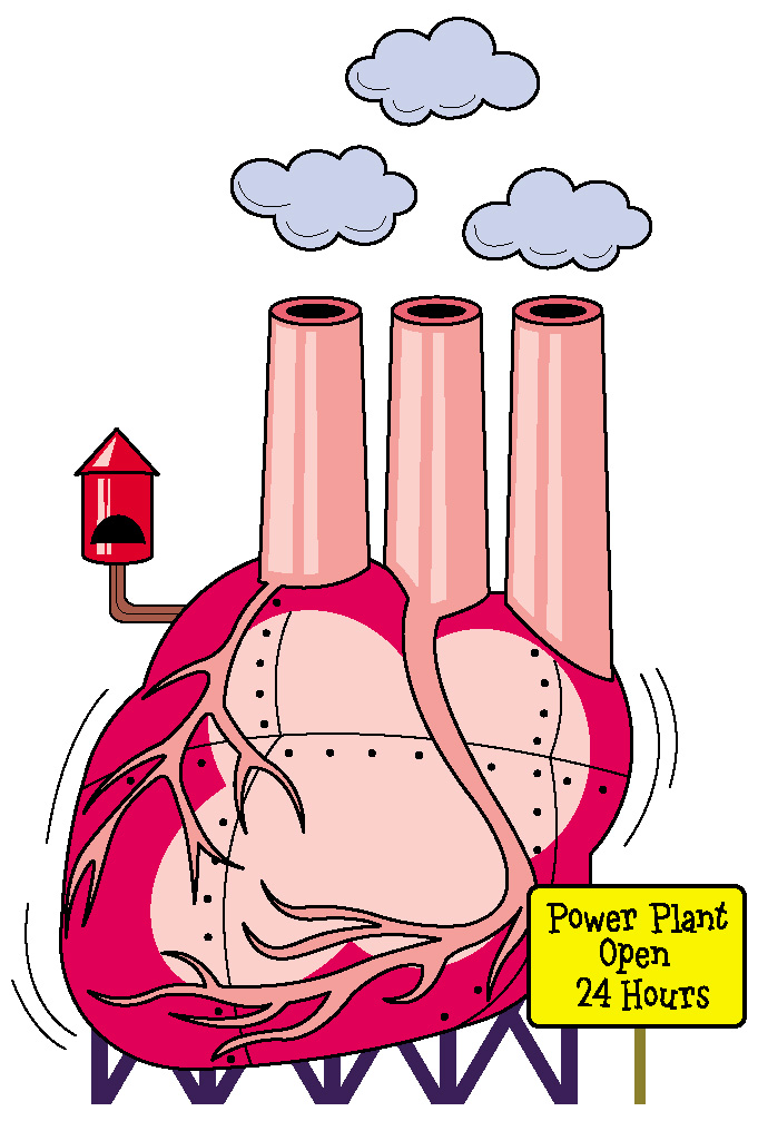 February is American Heart Month: Your body's power plant