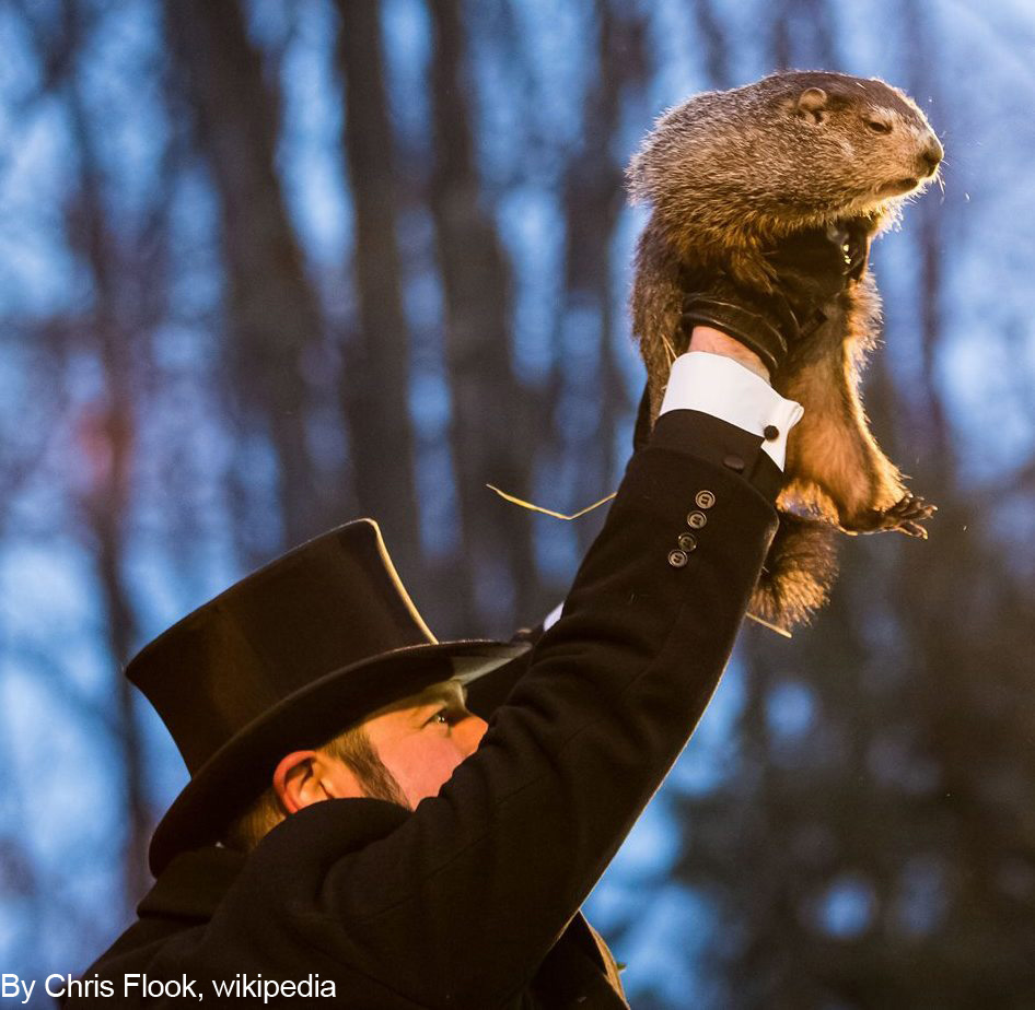 Groundhog Day: Check Phil's weather prediction!