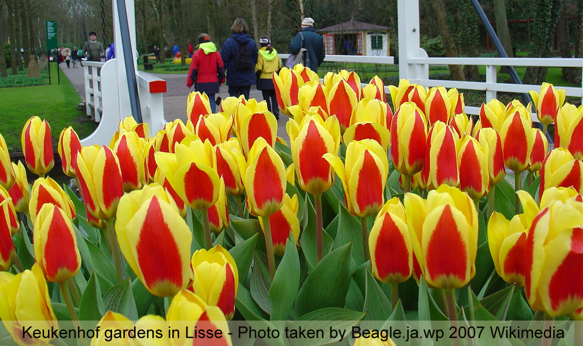 Travel Bag: Garden tours dazzle the eye