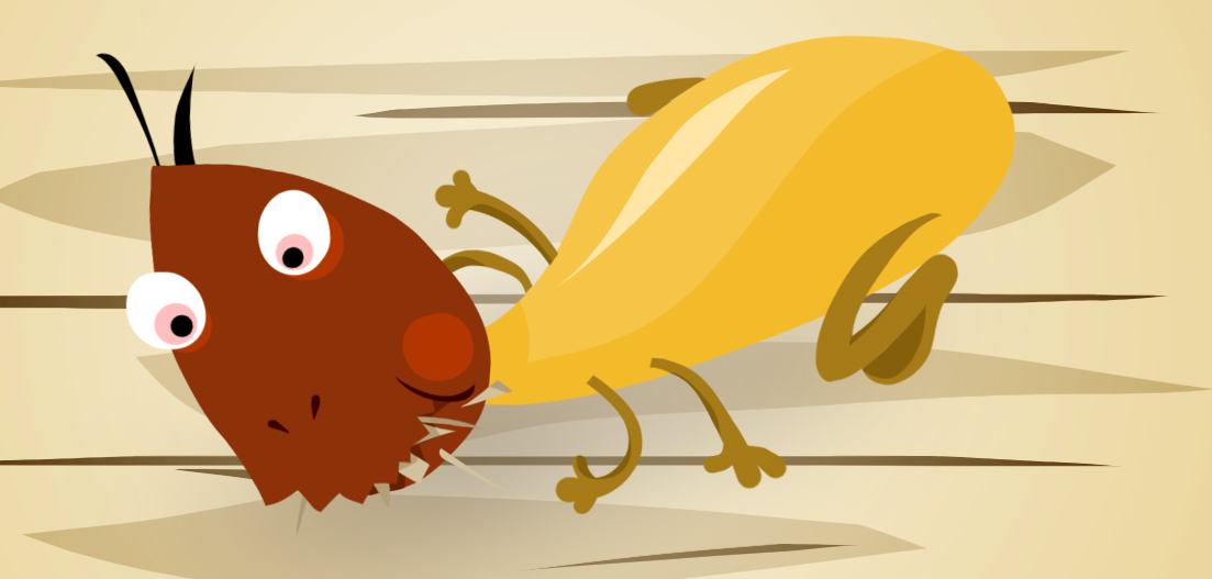 What you can do to protect against termites