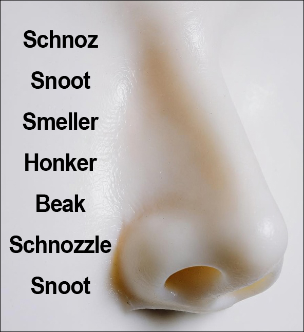 Why you don't see your nose?