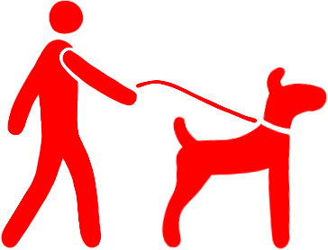 Do's and don'ts around strange dogs