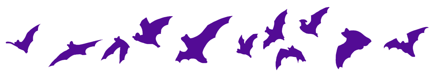 Bat Appreciation Day, April 17 -- Progress: A tiny bat and many humans drink to success