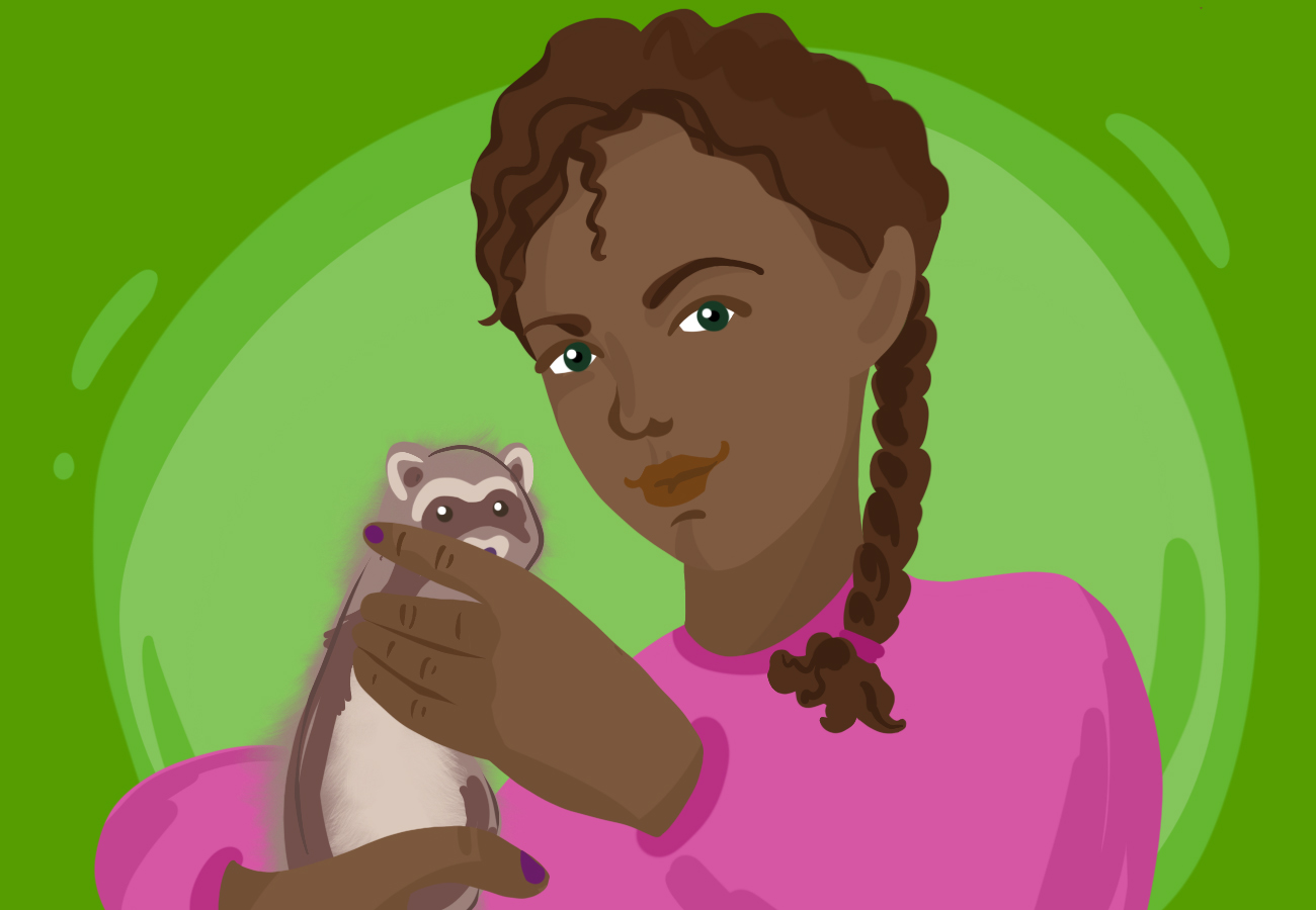 Who wants a ferret?