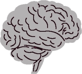Do you really only use 10 percent of your brain?