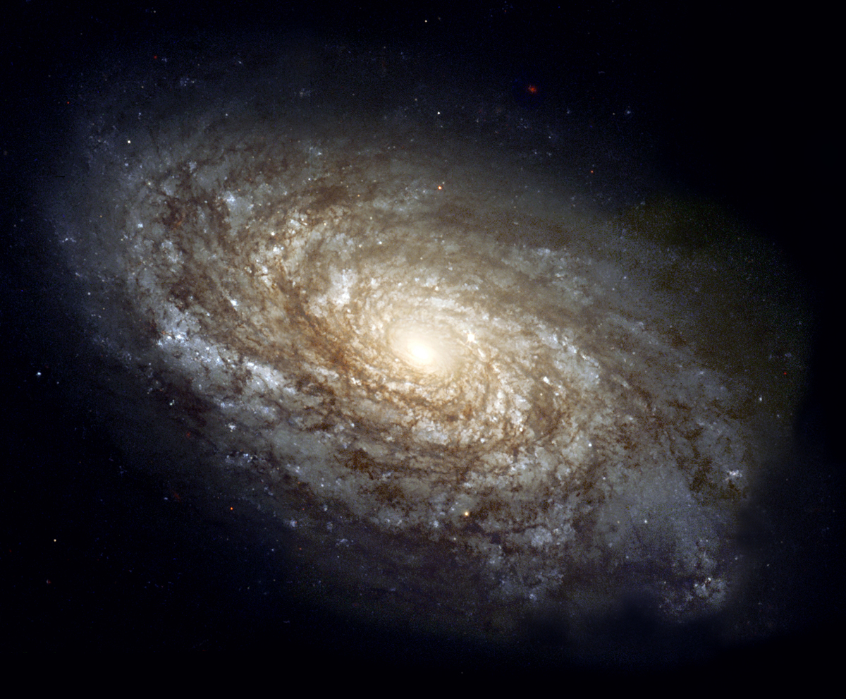 Universe facts that are out of this world