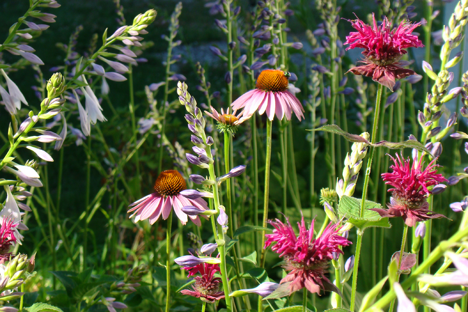 Saving water in the garden
