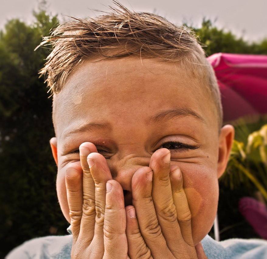 A must for relatives of kids who love knock-knock jokes