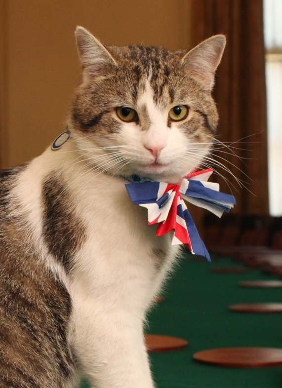 The cat who outlasted six prime ministers