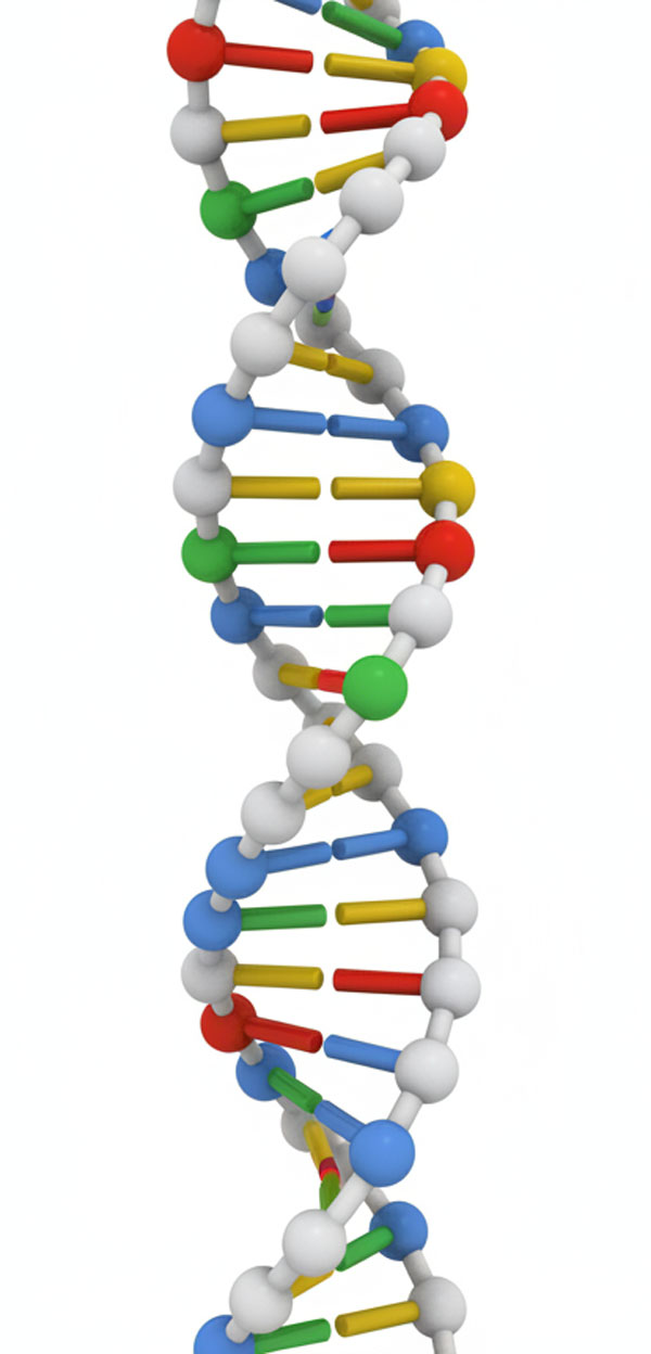 We don't know everything about DNA