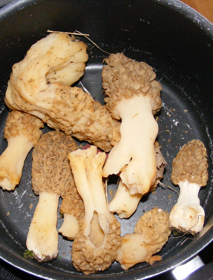 Preparing the essential morel