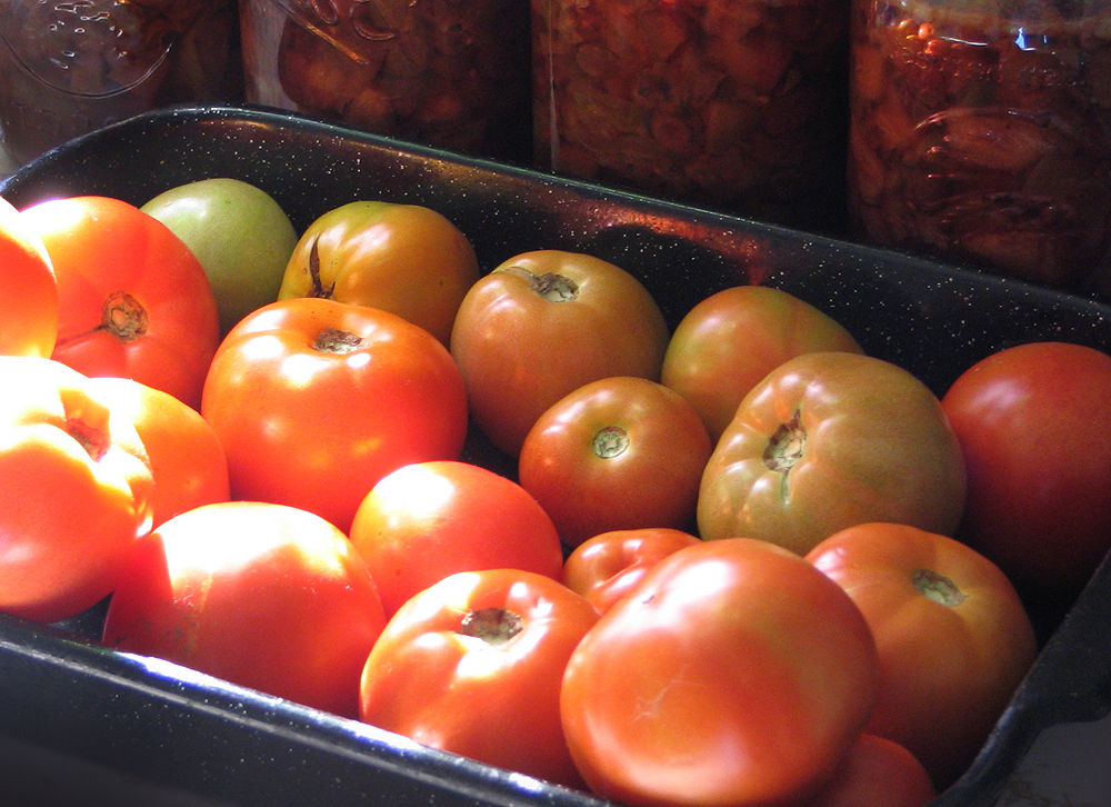 Tomatoes stall decline in lung function, study finds