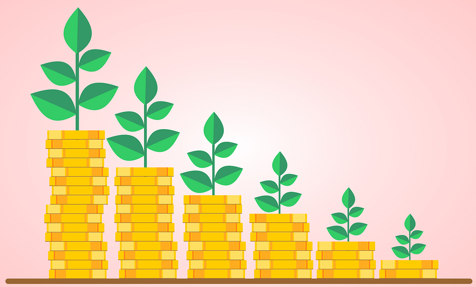 Manage expenses with a sinking fund