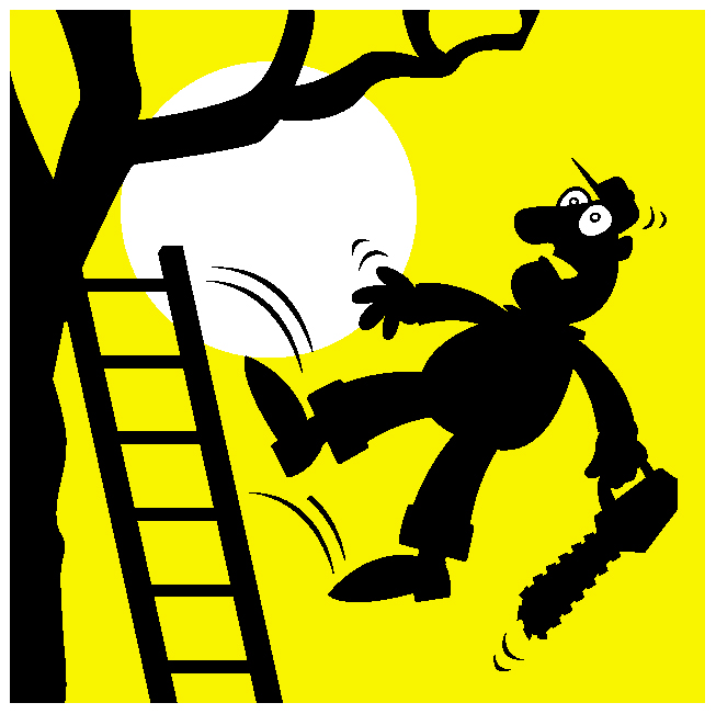 Watch out for spring hazards
