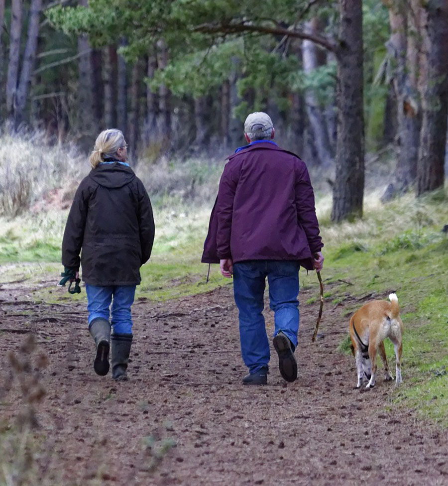 May is National Arthritis Month