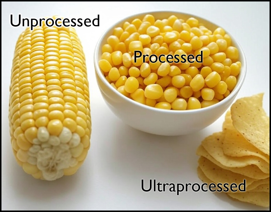 An example of food processing: Corn