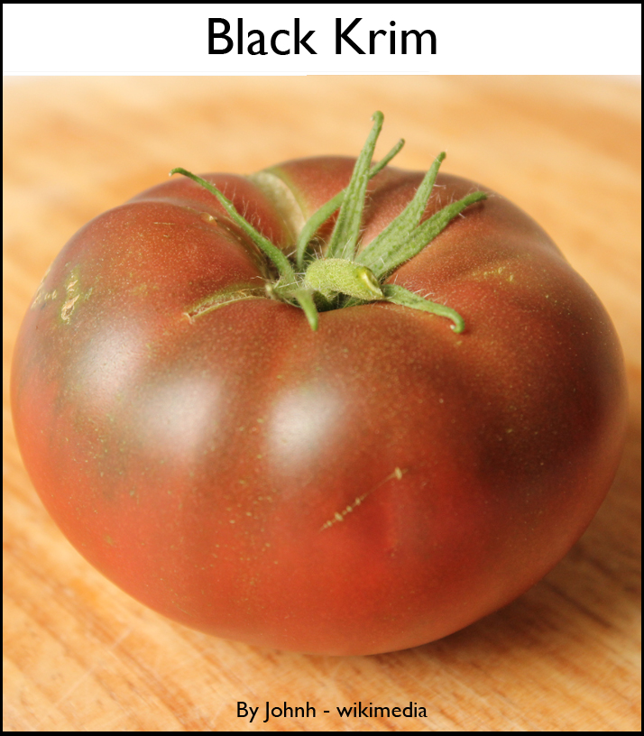 How to water tomato plants