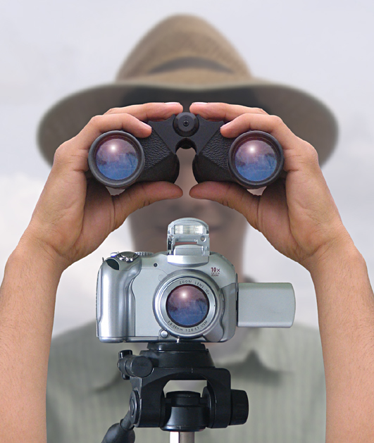 Tips for the traveling birder