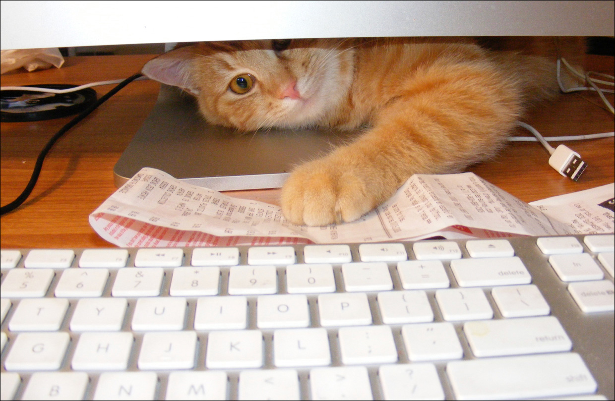 Pets enhance life, psychologist says