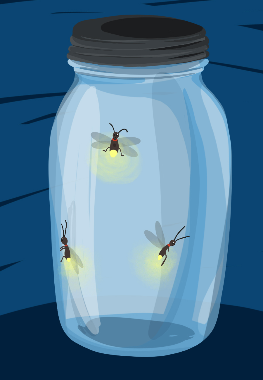 Fireflies put on their annual show