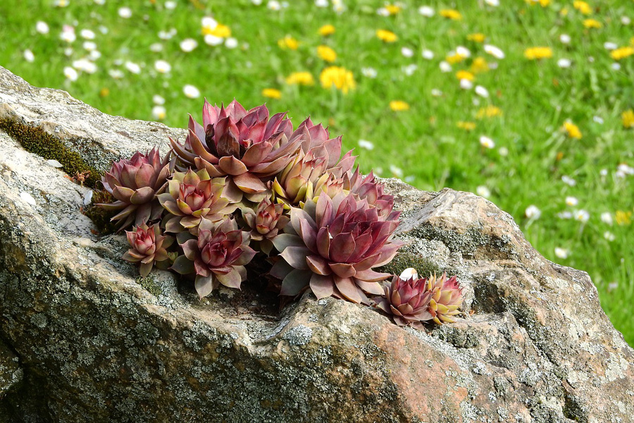 Fake rocks can add real weight to your landscaping
