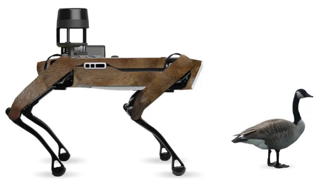 New predator stalks runways
