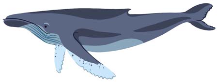 The ocean is fighting bacK
