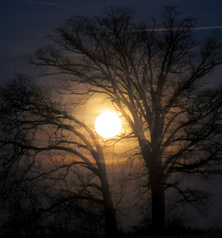 The Moon: Not just for romance.