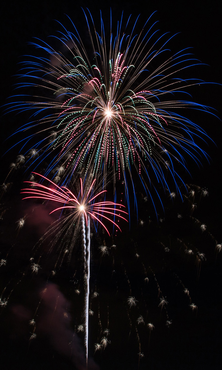 What do you call that pretty firework?