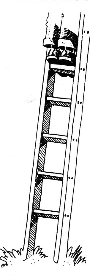 Stepping up to ladder safety