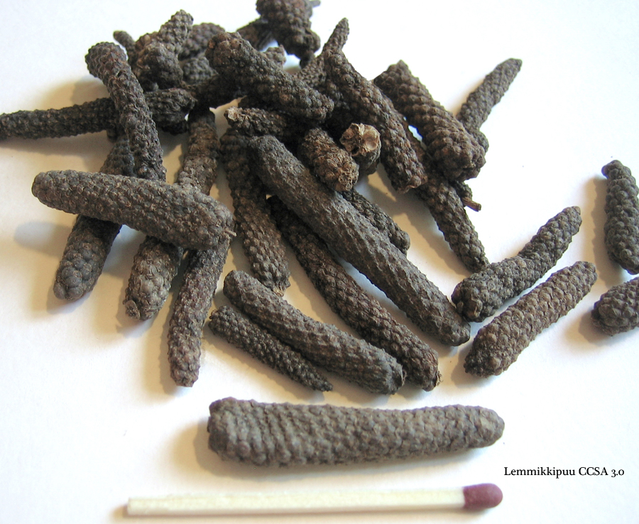 Ancient pepper can spice up barbecue