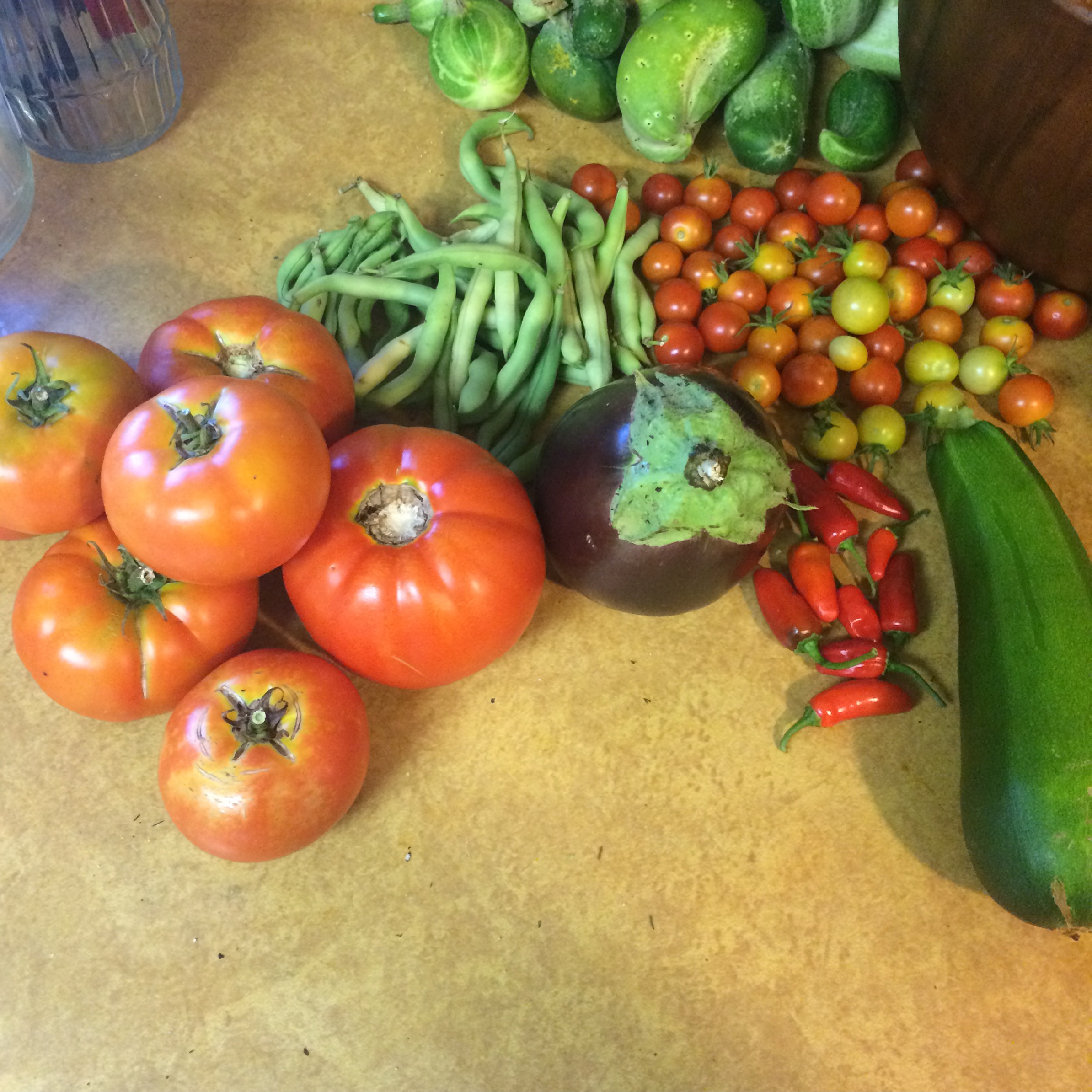 Hobby Farms and City Gardens: Back to the land with unused commercial space
