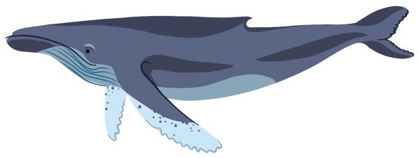 Was it just a whale of a tale?