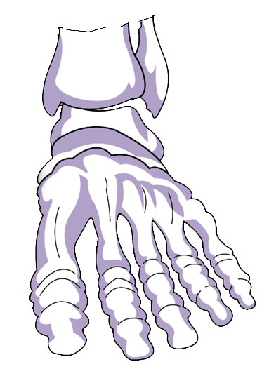 By the numbers: Foot injuries are common, preventable