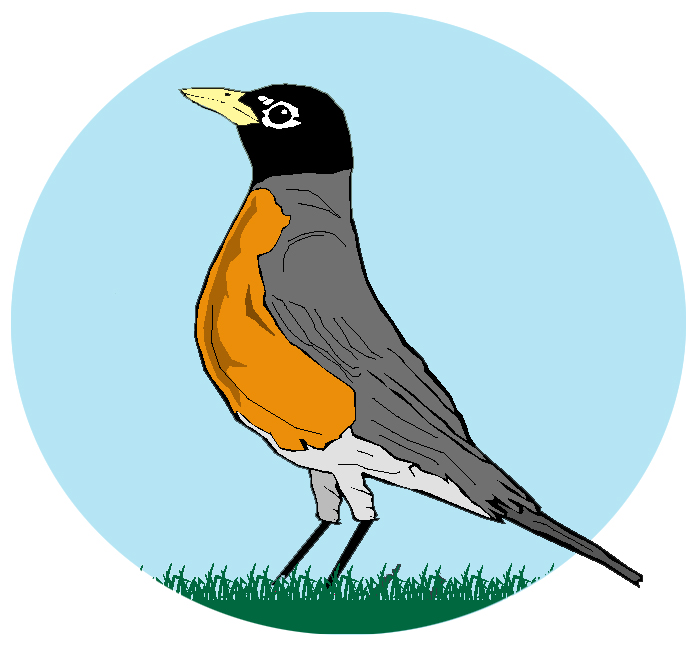 Where will the robins go this winter?