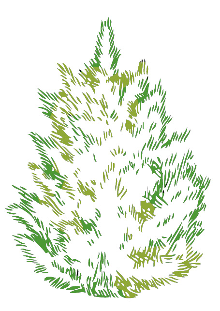 Time for tree and shrub maintenance