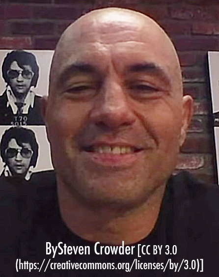 Entrepreneurs: Joe Rogan - Street smart since 5; $25 million at 50