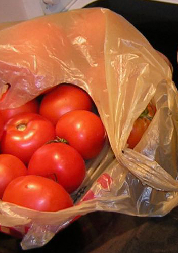 Too many tomatoes?
