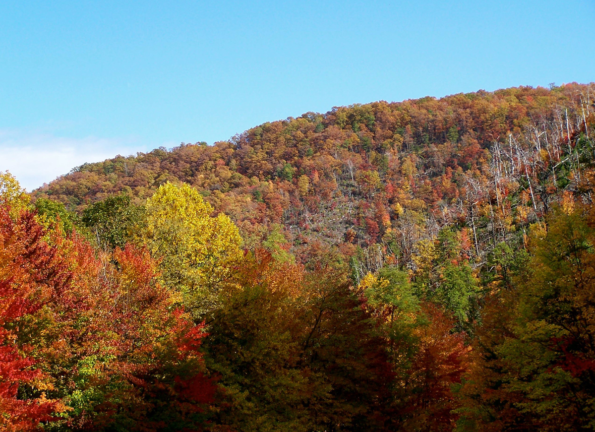 The first day of autumn is September 22