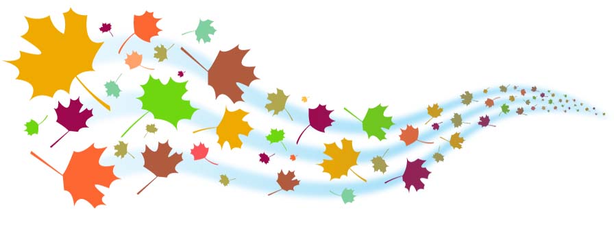 How to get rid of those leaves