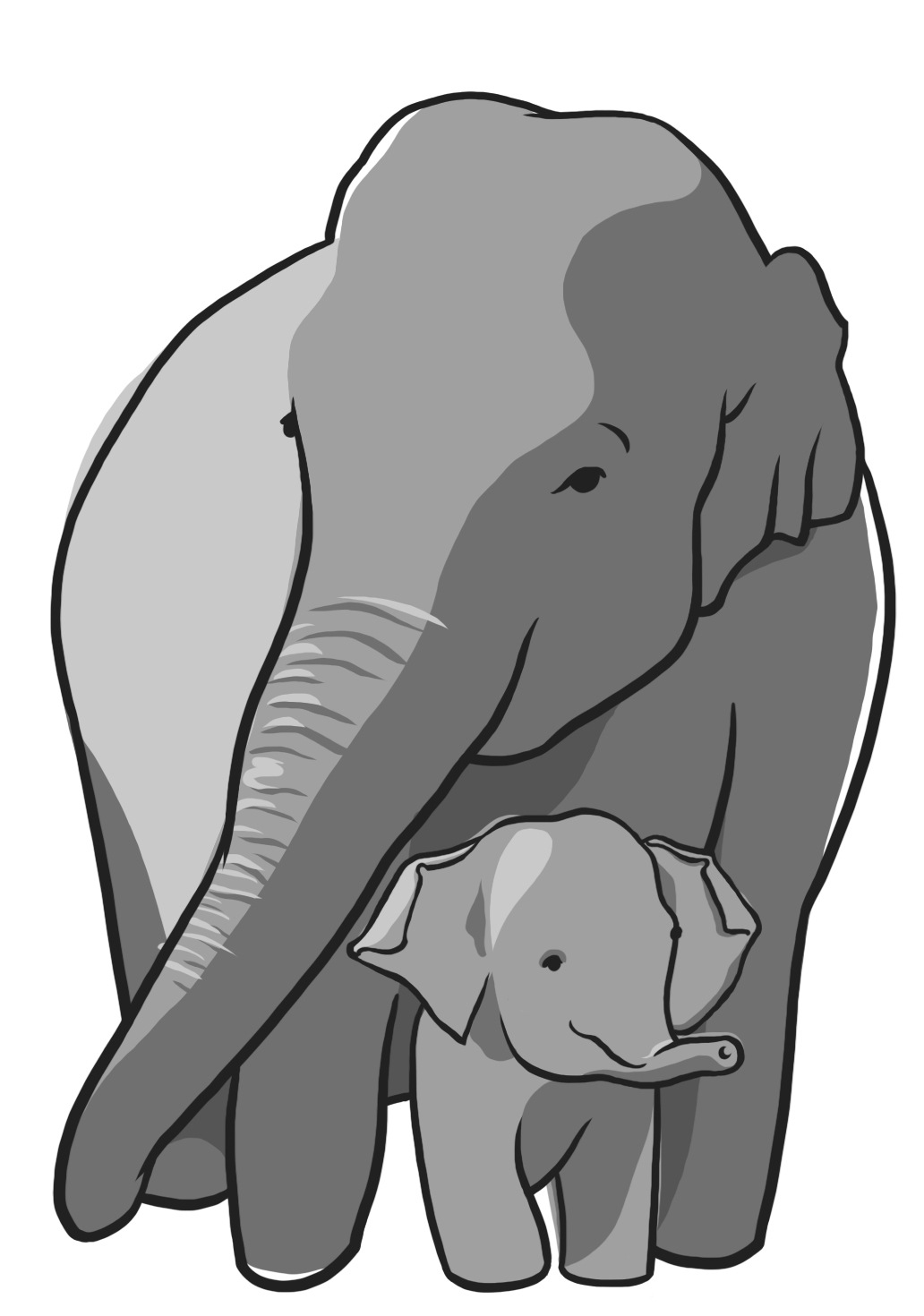 Elephant Appreciation Day, Sept. 22 Elephant facts